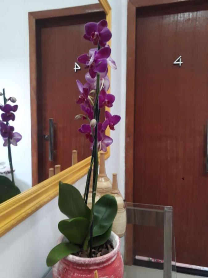 马卡埃Jardins Granja Dos Cavaleiros公寓 外观 照片